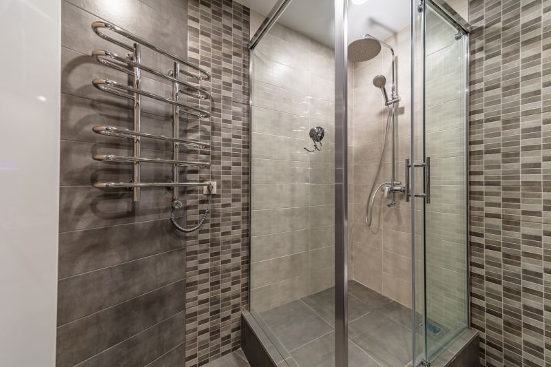 Sleek Shower Renovation
